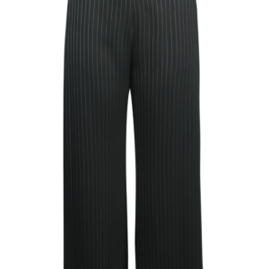 Suit Pant