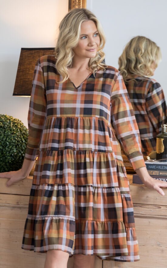 Fall Check Bonita Dress product photo.