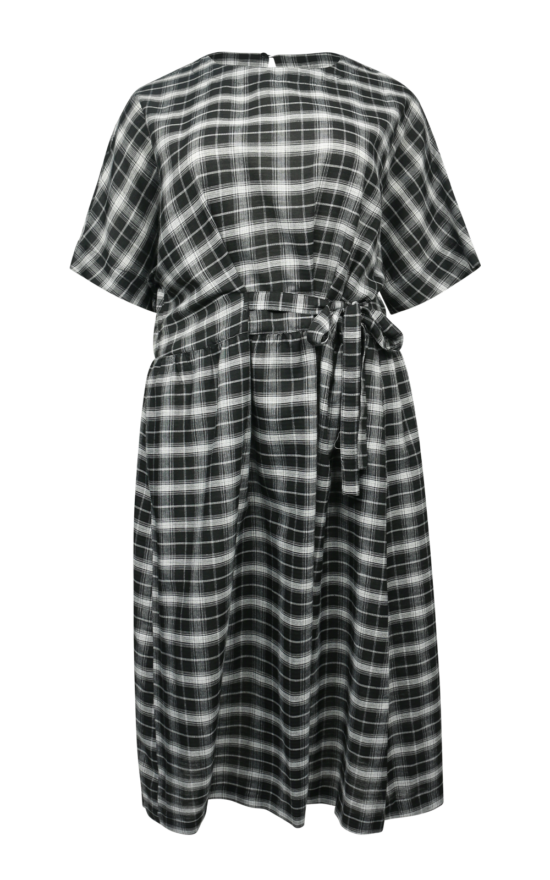 Whispering Dress product photo.