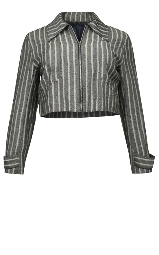 Cropped Denim Jacket product photo.