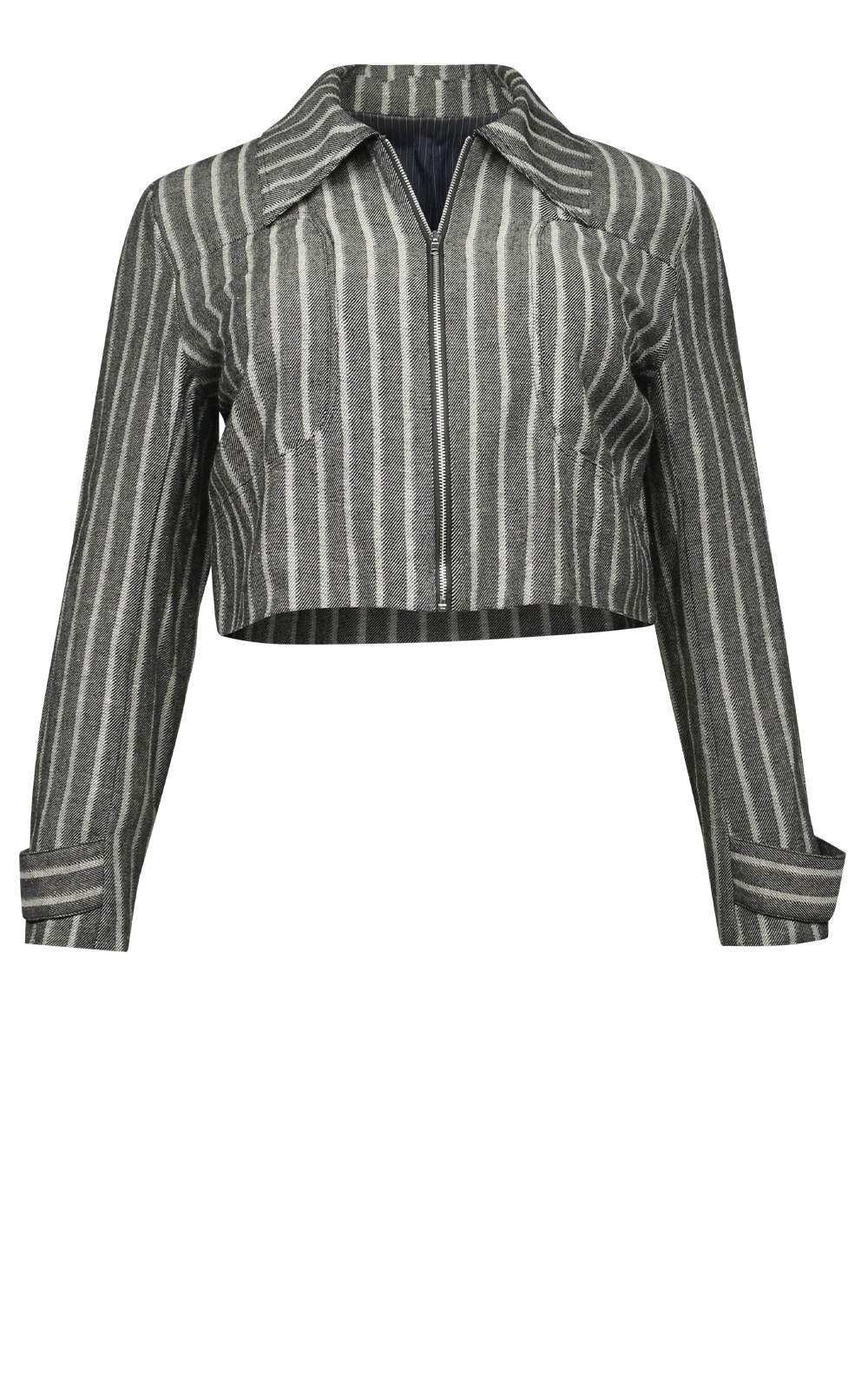 Cropped Denim Jacket product photo.