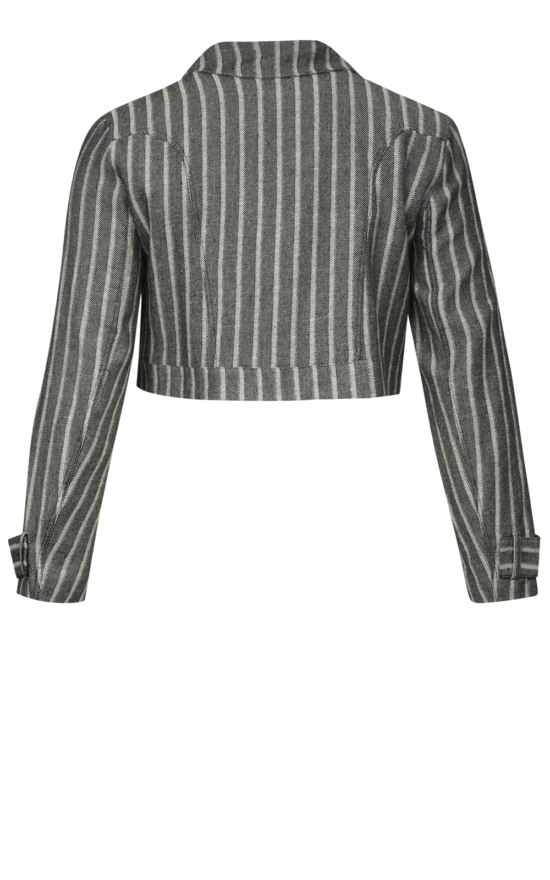Cropped Denim Jacket product photo.