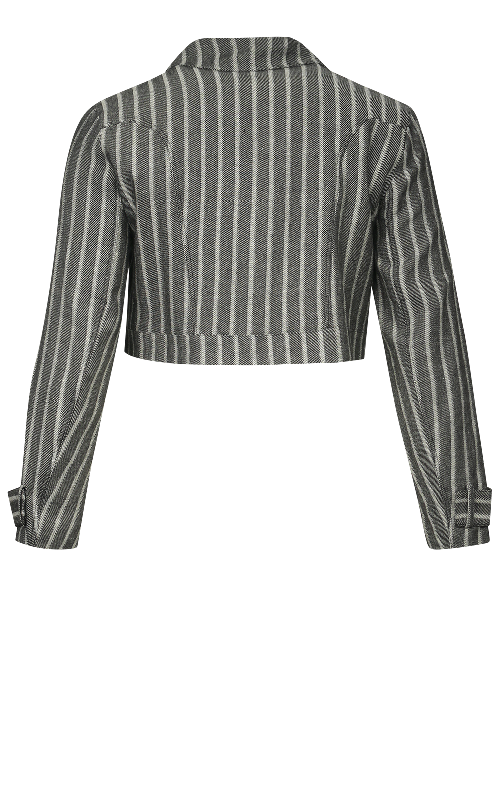 Cropped Denim Jacket product photo.