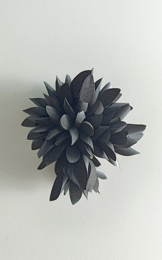 Banksia Brooch product photo.