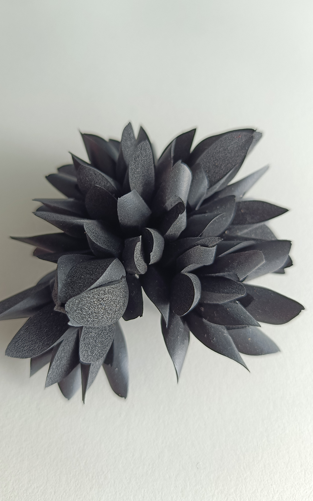 Banksia Brooch product photo.
