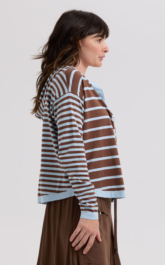 Multi Stripe Hoodie product photo.