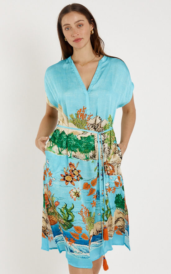 Montpelier Dress product photo.