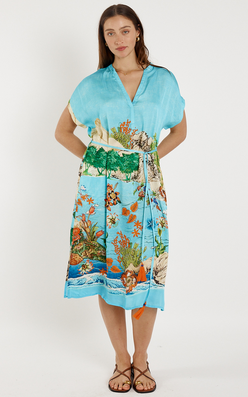 Montpelier Dress product photo.