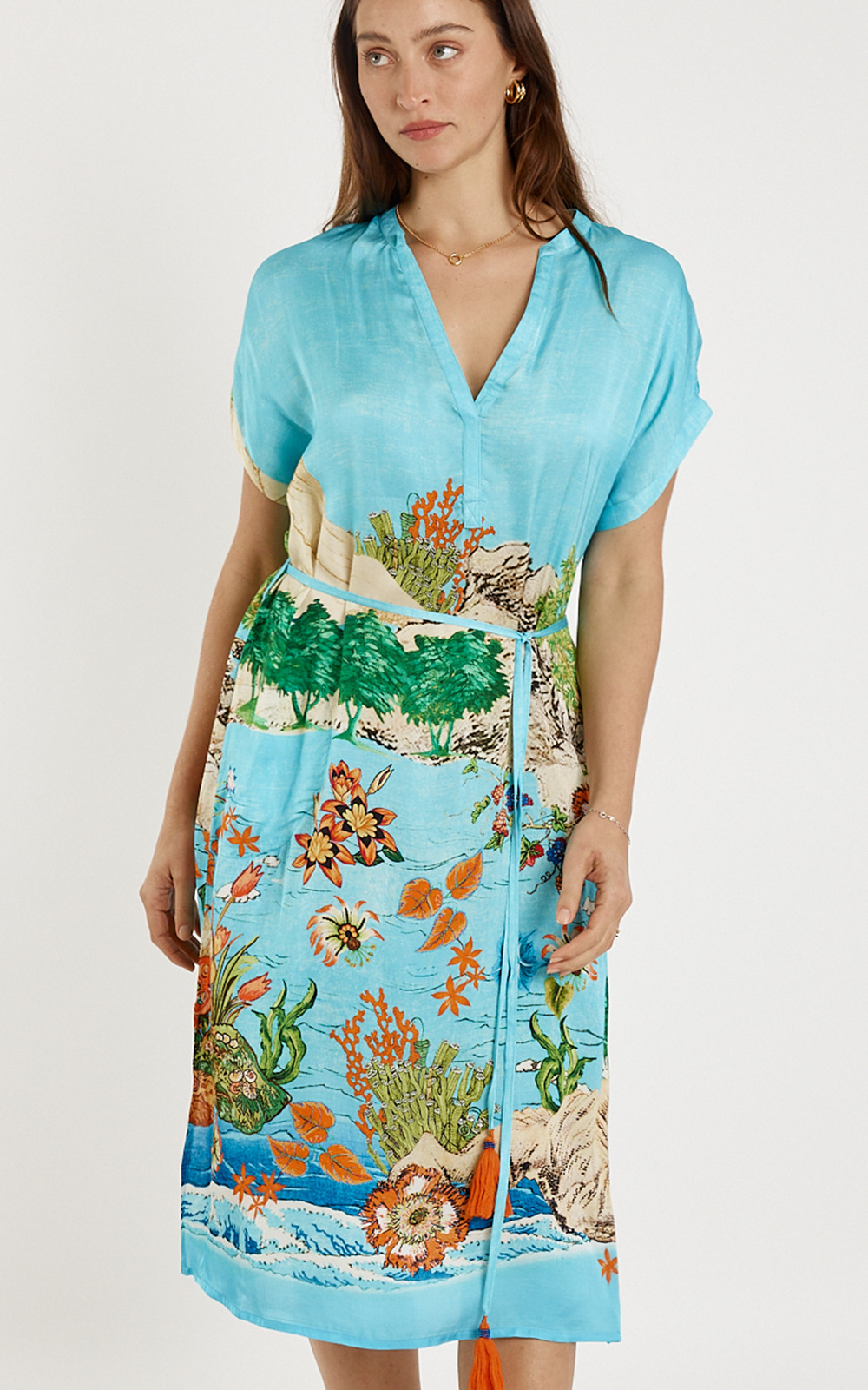Montpelier Dress product photo.