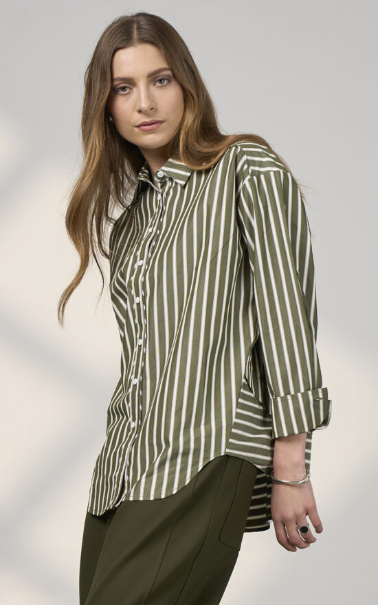 Direction Stripe Shirt product photo.