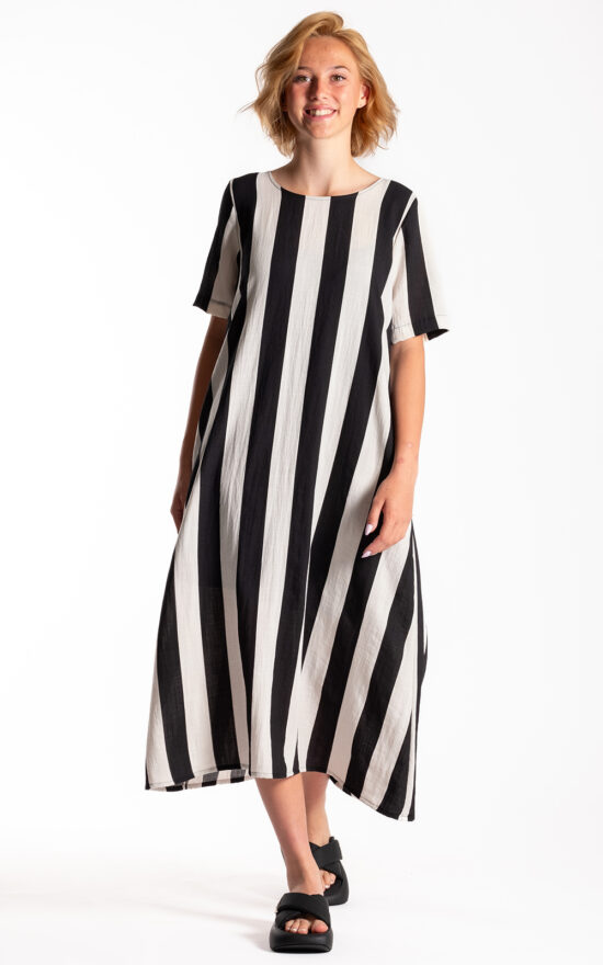 Menaka Dress product photo.