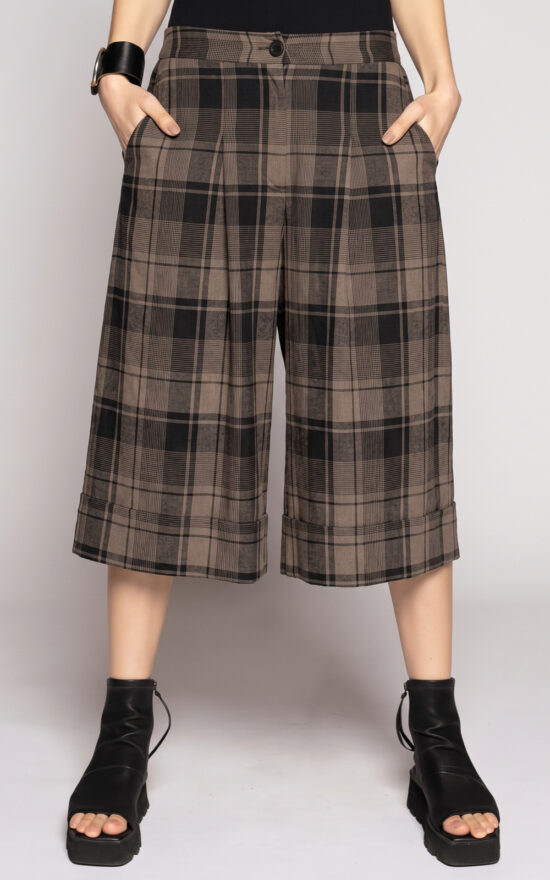 Arya Shorts product photo.