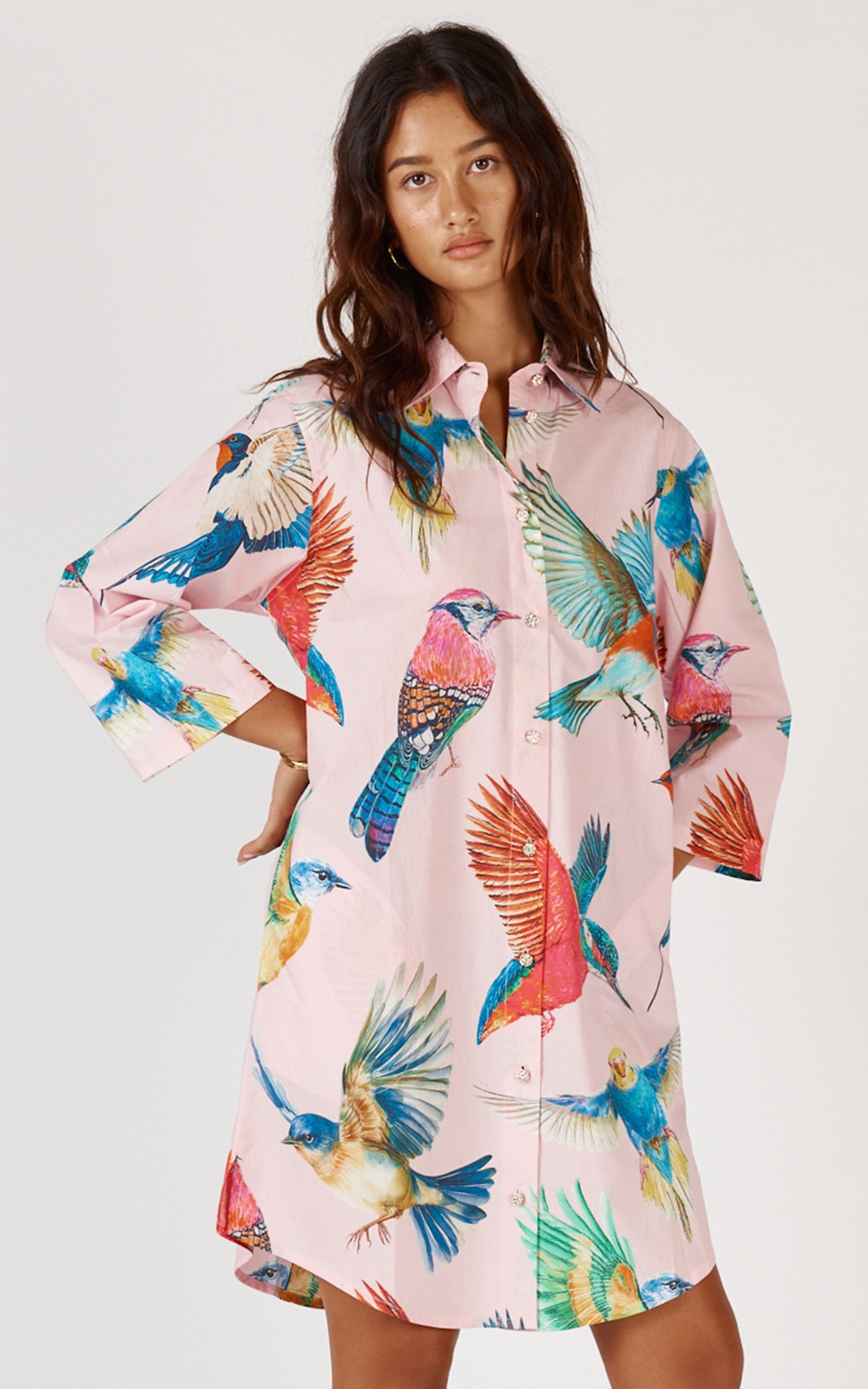 Warbler Shirtmaker  product photo.