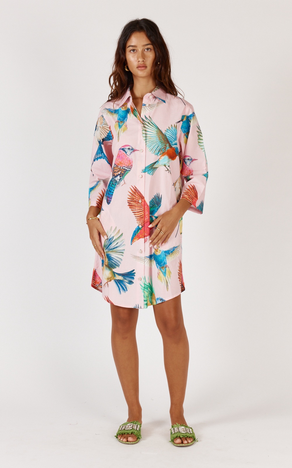 Warbler Shirtmaker  product photo.