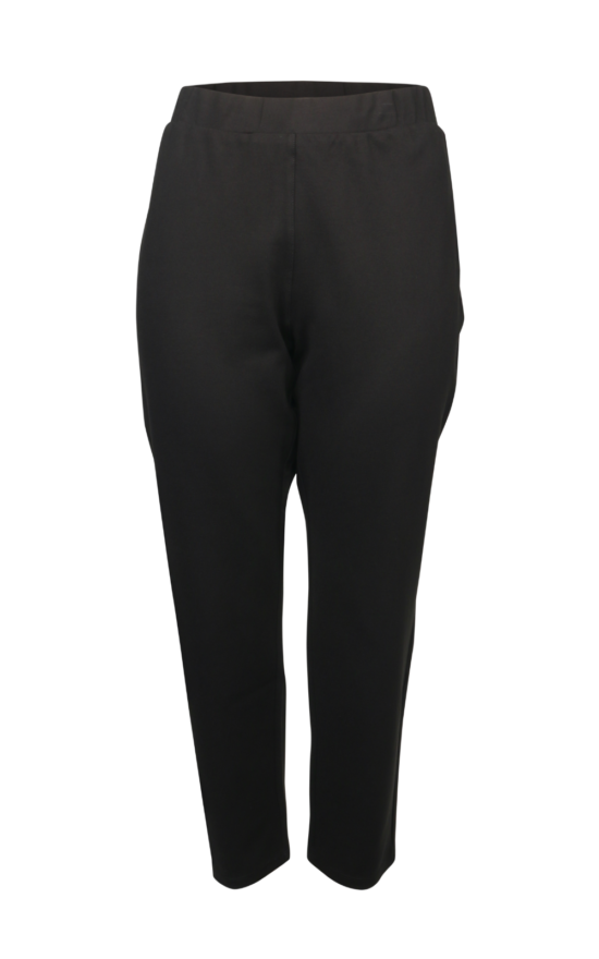 F/L Pull On Ponte Pant product photo.